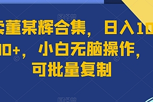不看后悔(卖董某辉合集,日入1000+,小白无脑操作,可批量复制)卖董某辉合集,日入1000+,小白无脑操作,可批量复制,董买买是谁,