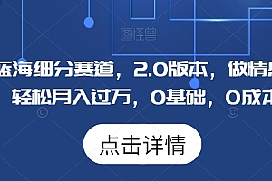 学到了吗(Soul蓝海细分赛道,2.0版本,做情感掘金,轻松月入过万,0基础,0成本)Soul蓝海细分赛道,2.0版本,做情感掘金,轻松月入过万,0基础,0成本,soul below,