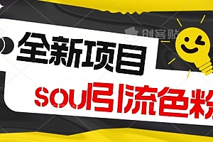 学会了吗(全新风口项目,soul精准引流私域变现,单身经济,无限放大,单日引流1000加轻轻松松)全新风口项目,soul精准引流私域变现,单身经济,无限放大,单日引流1000加轻轻松松,soul推广方案,