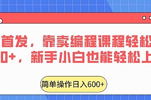 学到了吗(全网首发,靠卖编程课程轻松日入600+,新手小白也能轻松上手)全网首发,靠卖编程课程轻松日入600+,新手小白也能轻松上手,教编程赚钱吗,