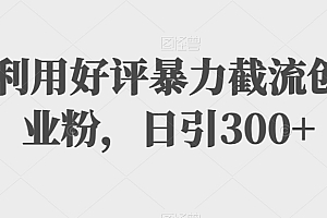 一看就会(利用好评暴力截流创业粉,日引300+)利用好评暴力截流创业粉,日引300+,好评卡会处罚店铺,