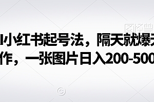 深度揭秘(最新AI小红书起号法,隔天就爆无脑操作,一张图片日入200-500)最新AI小红书起号法,隔天就爆无脑操作,一张图片日入200-500,小红书号啥意思,