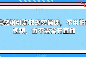 这都可以(情感粉引流变现实操课,不用拍摄视频,也不需要开直播)情感粉引流变现实操课,不用拍摄视频,也不需要开直播,情感粉丝,