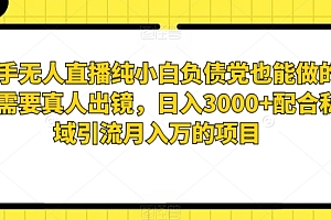 干货分享(快手无人直播纯小白负债党也能做的不需要真人出镜,日入3000+配合私域引流月入万的项目)快手无人直播纯小白负债党也能做的不需要真人出镜,日入3000+配合私域引流月入万的项目,快手无人直播带货是真的吗,