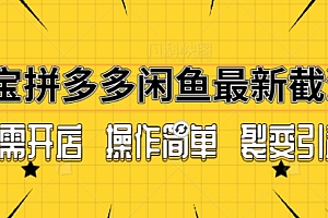 快来看(拼多多淘宝闲鱼最新引流方法,无需开店长久精准引流100+)拼多多淘宝闲鱼最新引流方法,无需开店长久精准引流100+,闲鱼对接拼多多怎么弄,