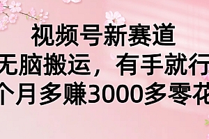 奔走相告(视频号新赛道,无脑搬运,有手就行,每个月多赚3000多零花钱)视频号新赛道,无脑搬运,有手就行,每个月多赚3000多零花钱,视频号怎样挣钱,