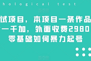 真没想到(测试项目,本项目一条作品涨粉一千加,外面收费2980,零基础如何暴力起号)测试项目,本项目一条作品涨粉一千加,外面收费2980,零基础如何暴力起号,涨粉后如何赚钱,