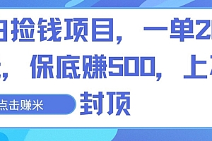 学到了(白捡钱项目,一单20元,保底赚500,上不封顶)白捡钱项目,一单20元,保底赚500,上不封顶,白捡的钱换个说法,