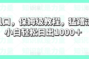 新鲜出炉(新风口,保姆级教程,猛蹭流量小白轻松日出1000+)新风口,保姆级教程,猛蹭流量小白轻松日出1000+,新风口的风速是多少,