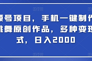 不要告诉别人(视频号项目,手机一键制作美女跳舞原创作品,多种变现方式,日入2000)视频号项目,手机一键制作美女跳舞原创作品,多种变现方式,日入2000,视频号制作流程,