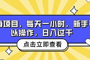 干货满满(蓝海项目,每天一小时,新手可以操作,日入过千)蓝海项目,每天一小时,新手可以操作,日入过千,蓝海项目挖掘方法与后端变现1.0,