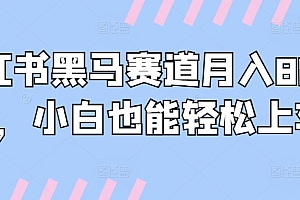 原创(小红书黑马赛道月入8000+,小白也能轻松上车)小红书黑马赛道月入8000+,小白也能轻松上车,小红书的关键词排名,