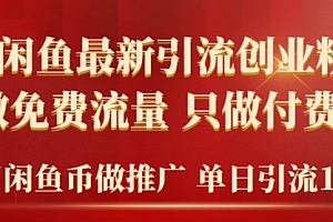 墙裂推荐(2024年闲鱼币推广引流创业粉,不做免费流量,只做付费流量,单日引流100+)2024年闲鱼币推广引流创业粉,不做免费流量,只做付费流量,单日引流100+,闲鱼如何用闲鱼币推广赚钱,